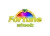 Fortune Wheelz
