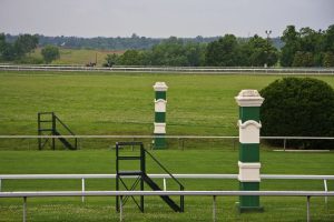 Horse Racing Betting Tips - Antepost - The 2026 Breeders