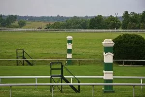 Horse Racing Betting Tips - Antepost - The 2026 Breeders