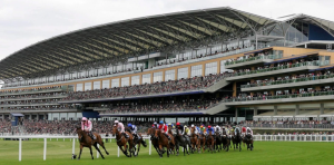 Horse Racing Betting Tips - Saturday 8th August 2026 - Shergar Cup Ascot
