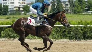 Horse Racing Betting Tips - Wednesday 16 September 2026 - Yarmouth
