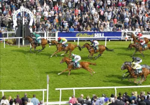 Monday Betting Tips at Ripon 03/08/26