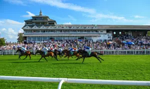 Horse Racing Betting Tips - Friday 7th August 2026 - Thirsk